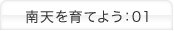 南天を育てよう：01