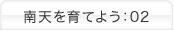 南天を育てよう：02