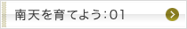 南天を育てよう：01