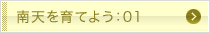 南天を育てよう：01