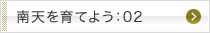 南天を育てよう：02