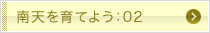 南天を育てよう：02