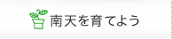 南天を育てよう
