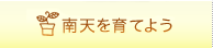 南天を育てよう
